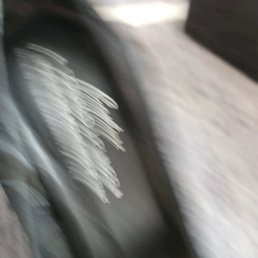 Donald J. Pliner Black Peep Toe Women's Shoes - Picture 7 of 9